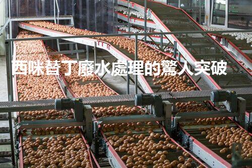 西咪替丁廢水處理的驚人突破？解密高效凈化技術！